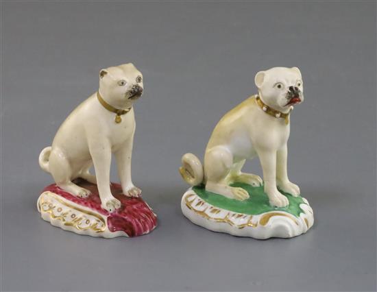 Two Rockingham porcelain figures of seated pug dogs, c.1830, H.7cm, latter restored